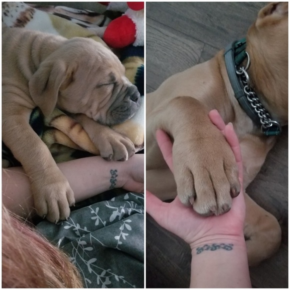 Hi :) - Picture 2 of 3